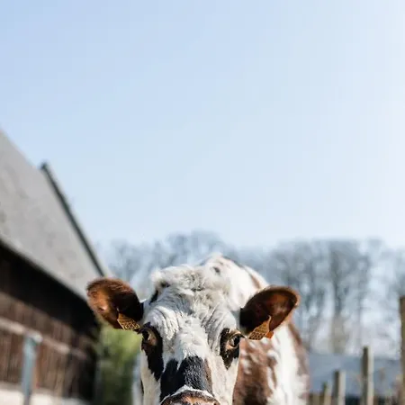 Dom wakacyjny Chateau De Saint-clair *