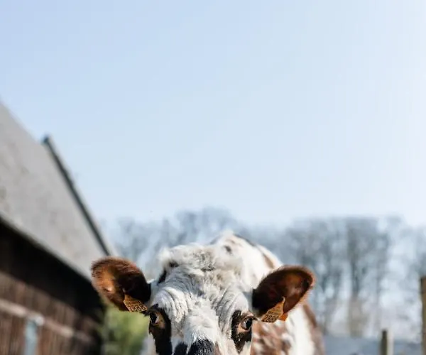 Holiday home Chateau De Saint-clair *